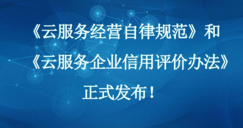 云服務(wù)商技術(shù)合作檢查與信用評(píng)級(jí) 信息技術(shù)咨詢服務(wù)新篇章